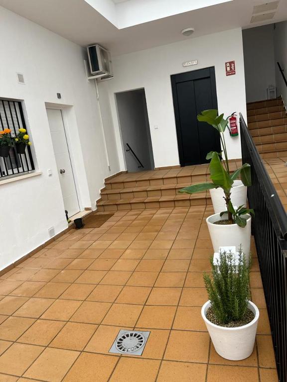 Fotografie z fotogalerie ubytování SHERRY SUITES VIII Apartamentos PARKING GRATUITO v destinaci Jerez de la Frontera