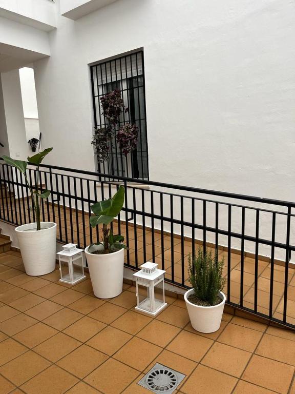 Fotografie z fotogalerie ubytování SHERRY SUITES VIII Apartamentos PARKING GRATUITO v destinaci Jerez de la Frontera