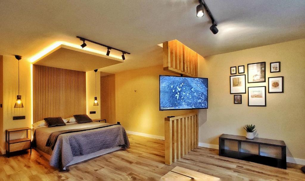 um quarto com uma cama e uma televisão de ecrã plano em Apartamento en el casco historico de Betanzos em Betanzos