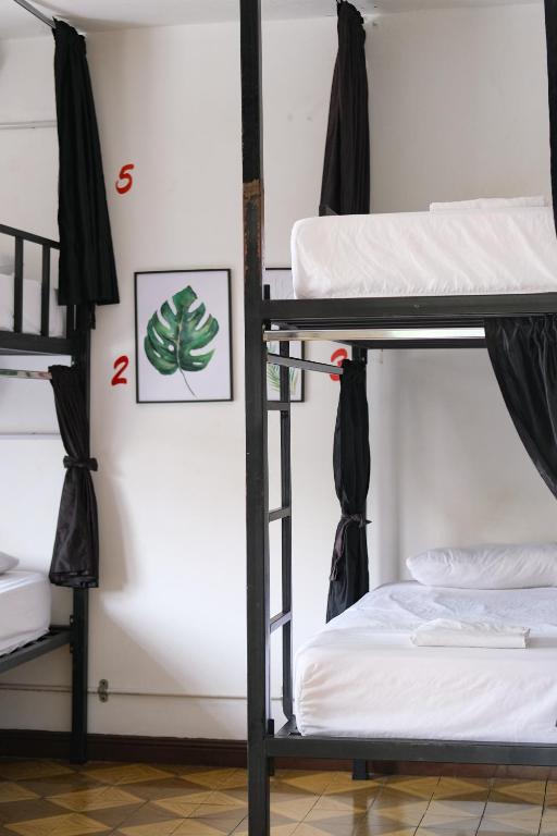 Rúm í herbergi á La Palmera Hostel