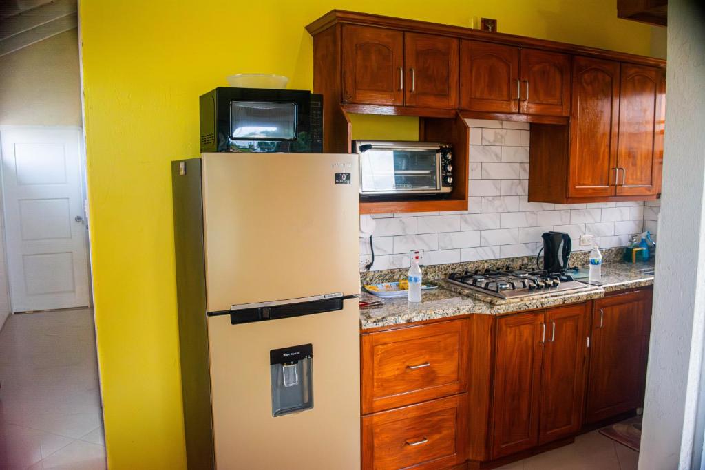 a kitchen with a white refrigerator and wooden cabinets at Cozy Modern Upstairs 2 Bed A/C Apt Near 2 Everything in Saint Philip