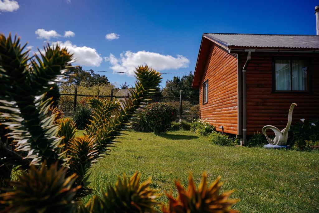 Jardín al aire libre en Cabañas Kompatzki