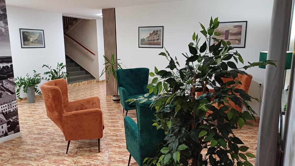 a living room with chairs and a plant at Hotel Piast in Myślibórz