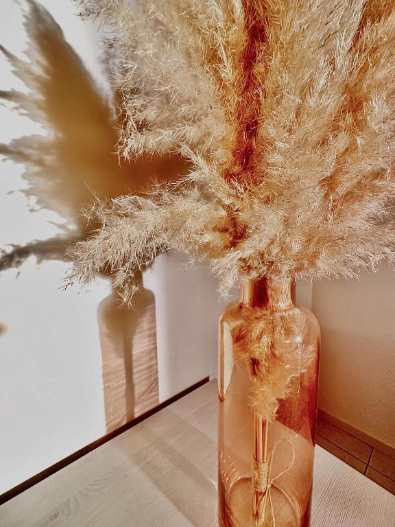 Suite With View - Free Parking - Appartamento Aurora Lugano - Resim 24