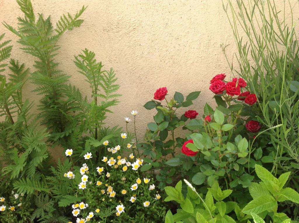 einen Garten mit roten und weißen Blumen neben einer Wand in der Unterkunft Casa Rural Runa in Miranda de Arga