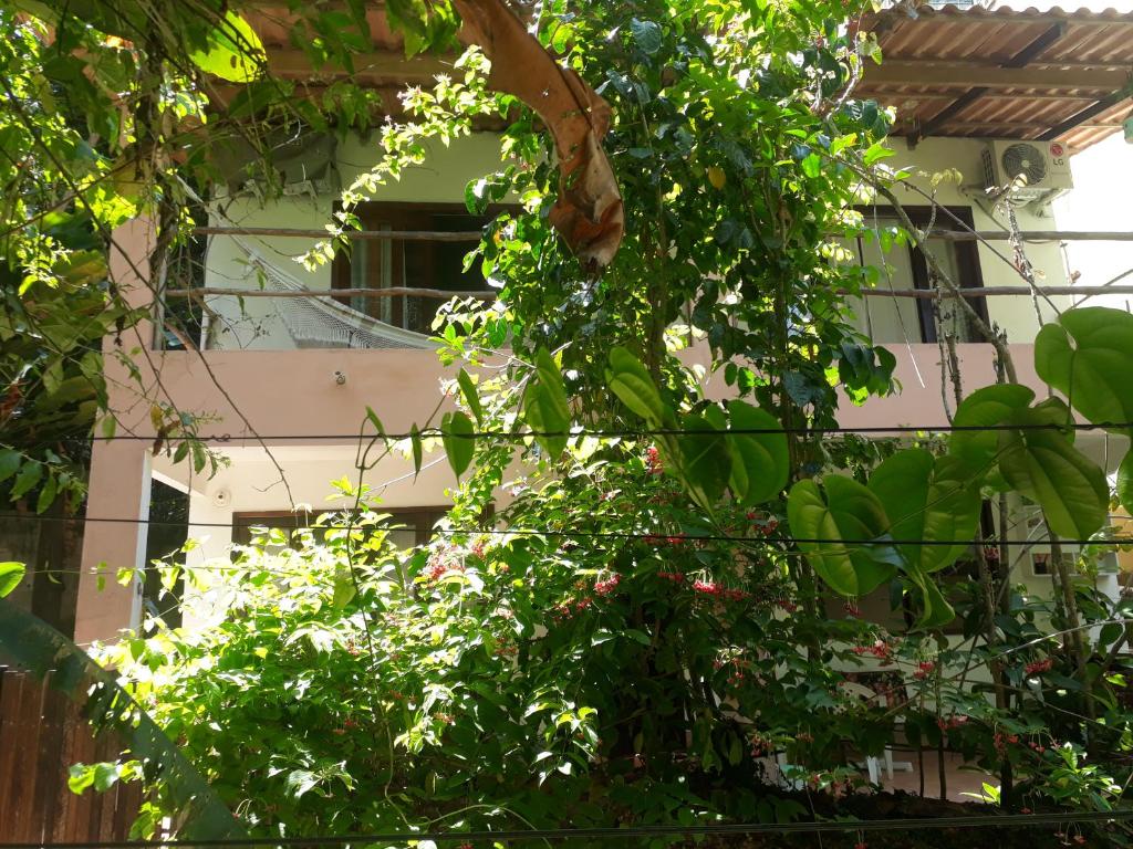 Zahrada ubytování Casa 262