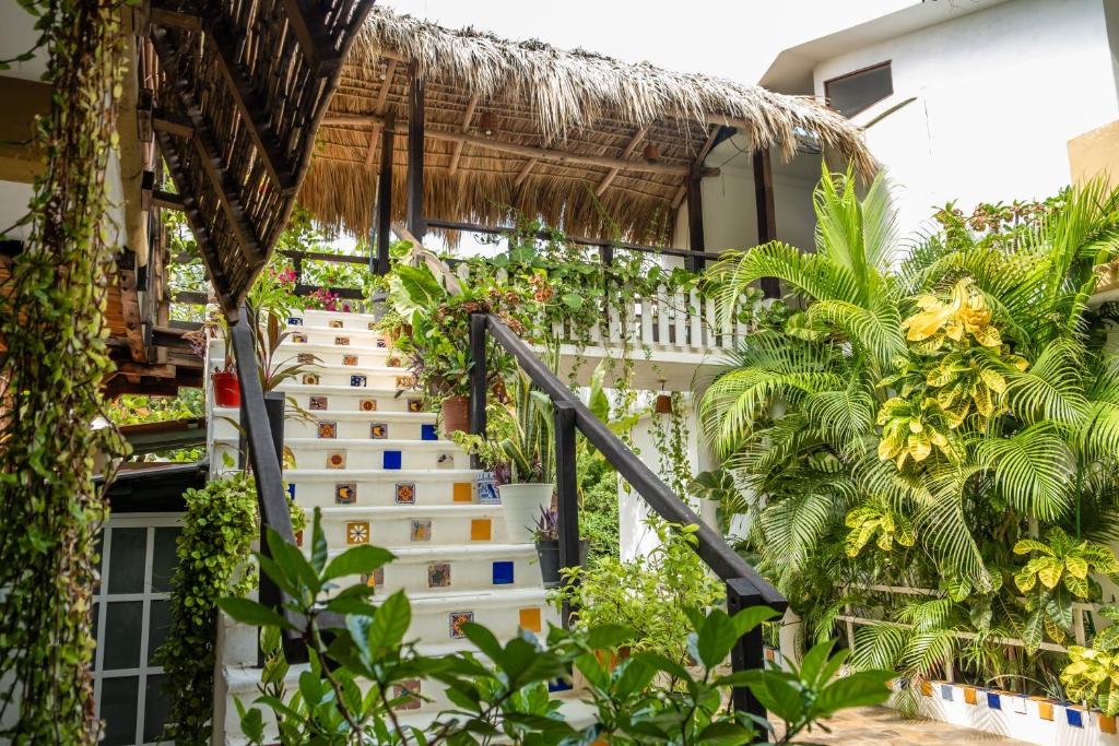 un escalier dans un bâtiment avec des plantes dans l'établissement Casa Mazunte Tierra Viva, à Mazunte