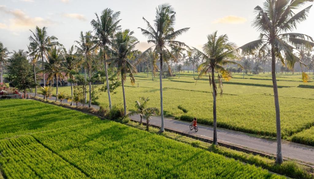 Zahrada ubytování TheWakanda Resort A Pramana Experience