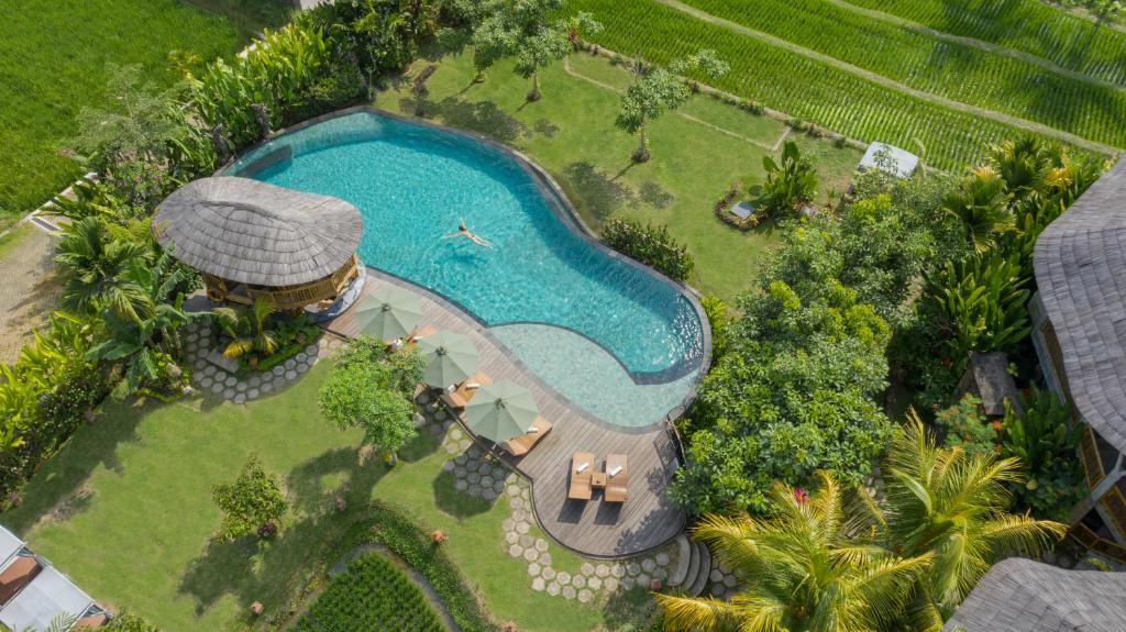 Bazén v ubytování TheWakanda Resort A Pramana Experience nebo v jeho okolí