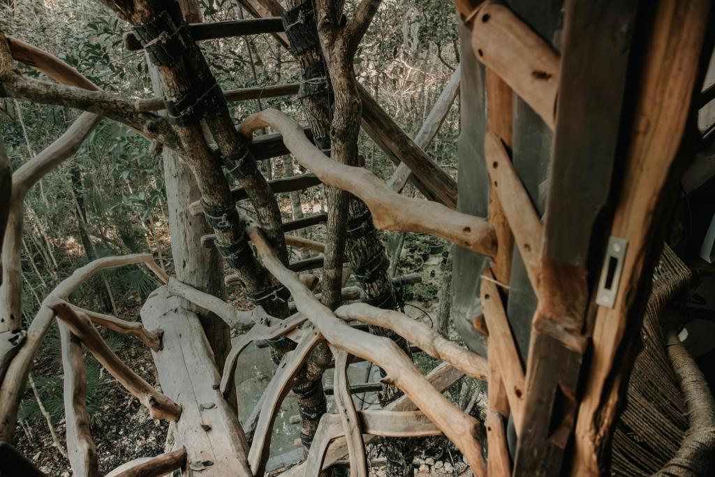 Fotografie z fotogalerie ubytování Ikalar v destinaci Akumal