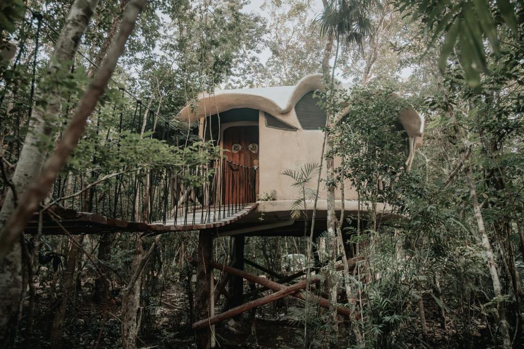 Ikalar في أكومال: منزل شجرة في الغابة