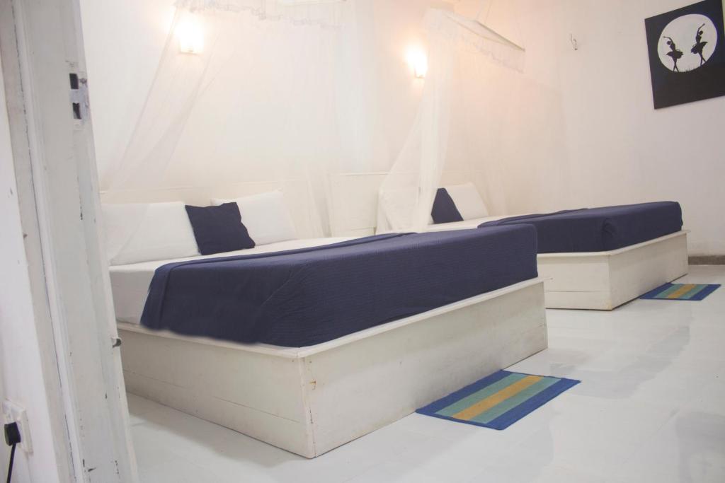 Ella Walkers Nest - 9