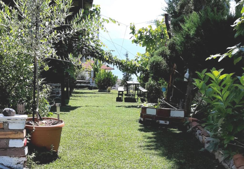 Zahrada ubytování Hotel Villa Stone Dream Bar Restaurant