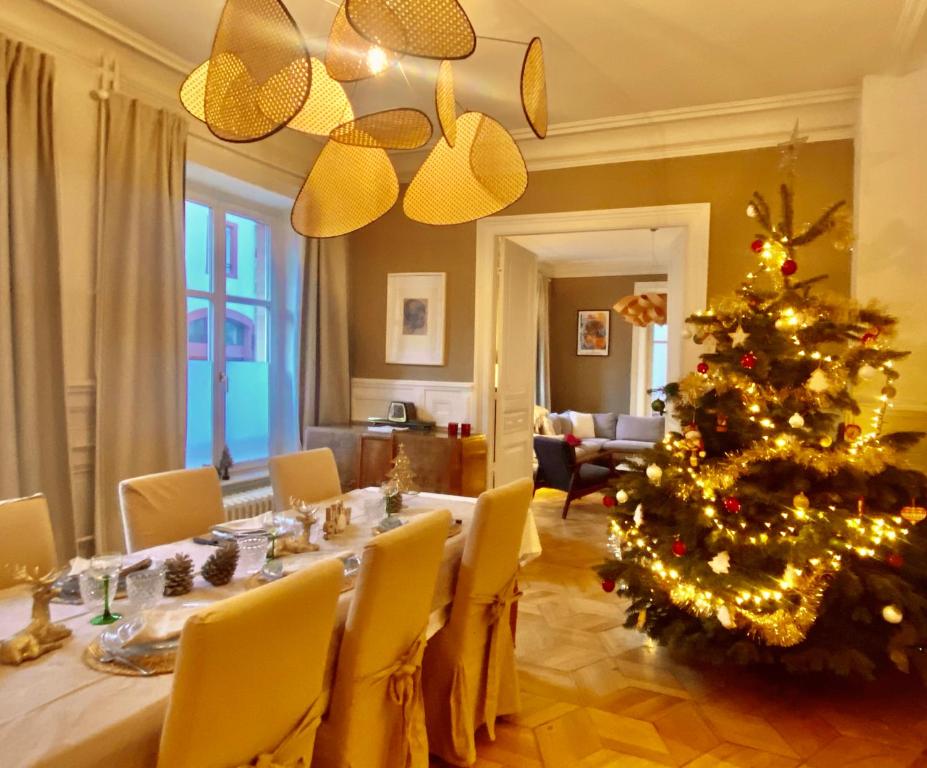 La Villa Alma Colmar – photo 25