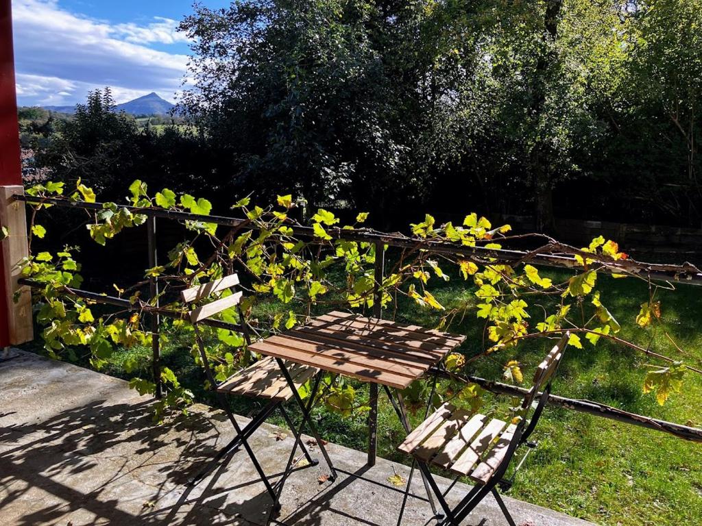 une table et une chaise en bois assises dans l'herbe dans l'établissement Lagunen etxea, à Hendaye