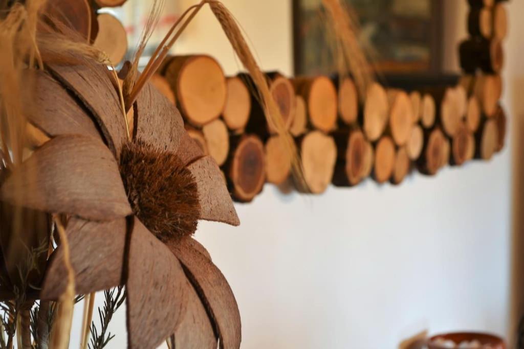 Fotografie z fotogalerie ubytování Papa Franks House v destinaci Ptuj