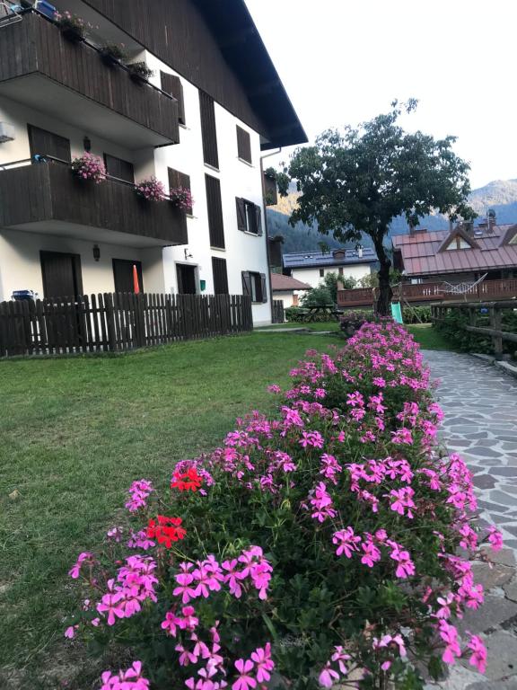 Ein paar Blumen vor einem Gebäude in der Unterkunft Carè Alto in Carisolo
