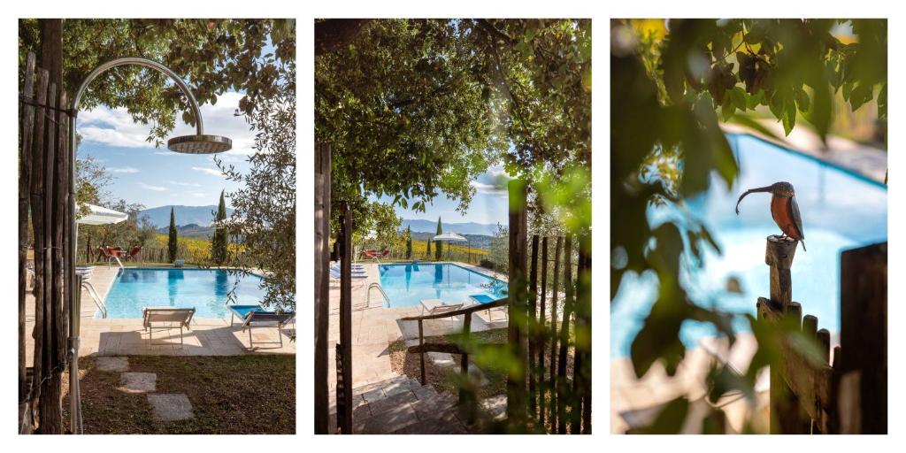 three pictures of a swimming pool with a resort at Casamaggio in San Donato in Collina