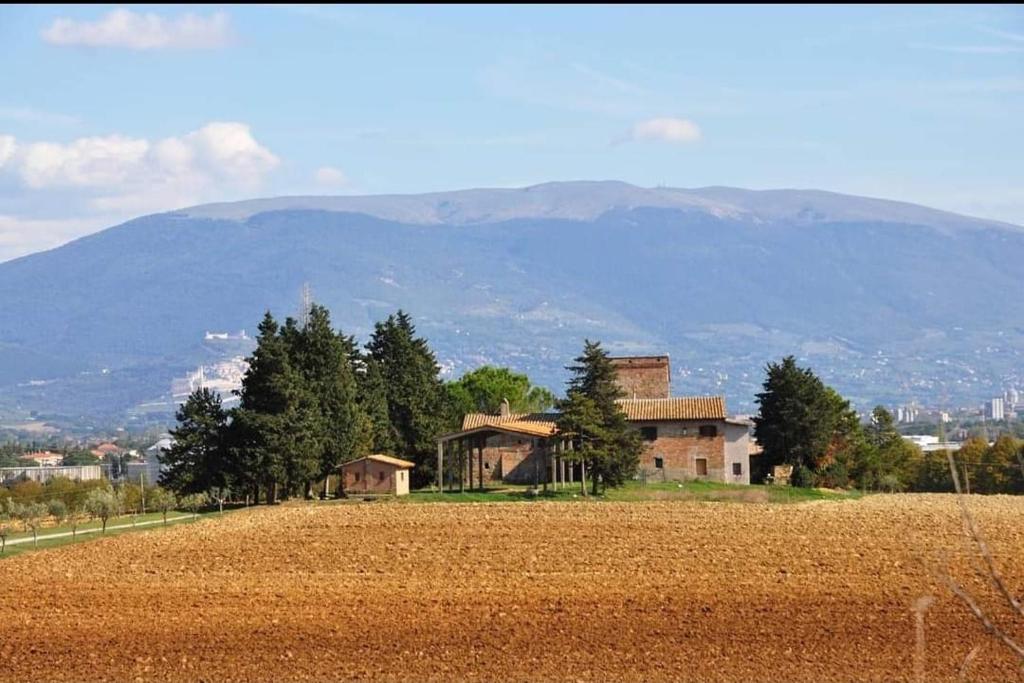 una casa en un campo junto a una montaña en Il Fortino di San Francesco, en Collestrada