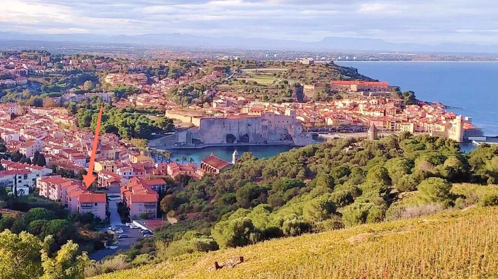 Príroda v okolí apartmánu