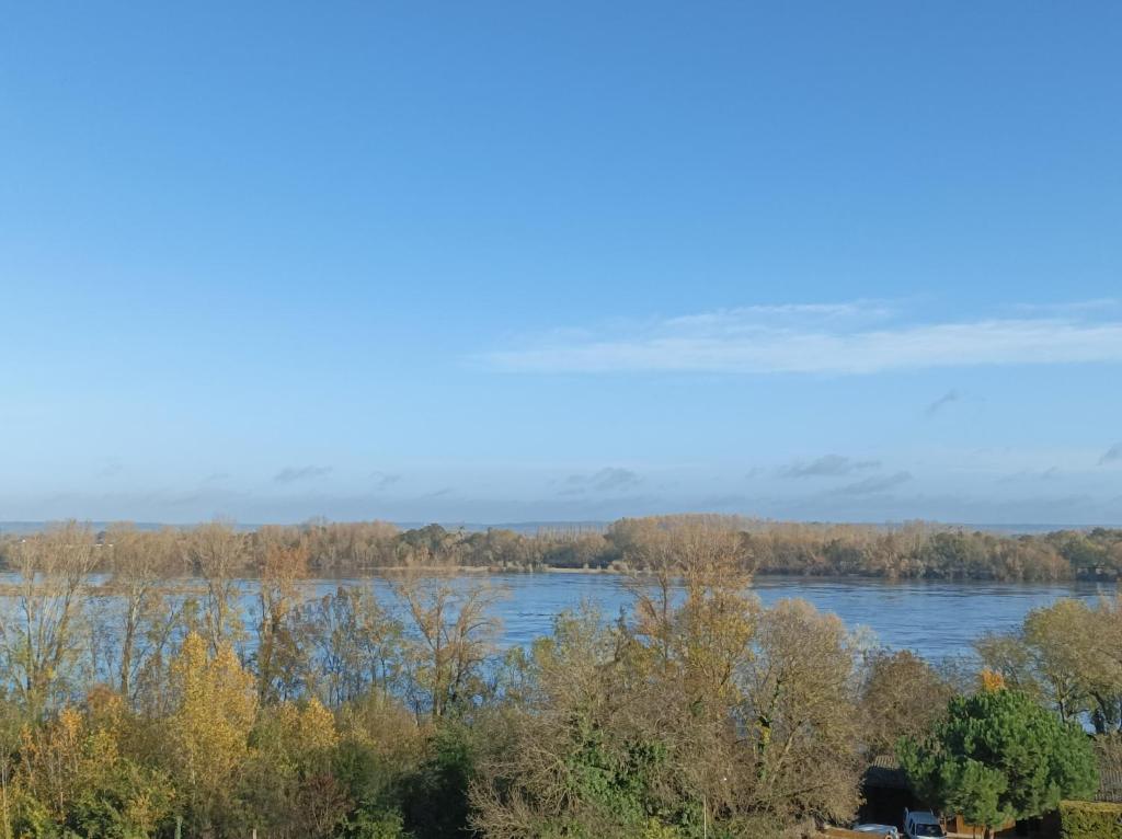 a view of a river with trees in the foreground at Gite des Perreyeurs - maison troglodyte avec vue sur Loire in Montsoreau