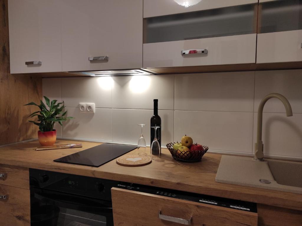 Kuchyňa alebo kuchynka v ubytovaní Apartment Stipčić-Mrežnički Brig