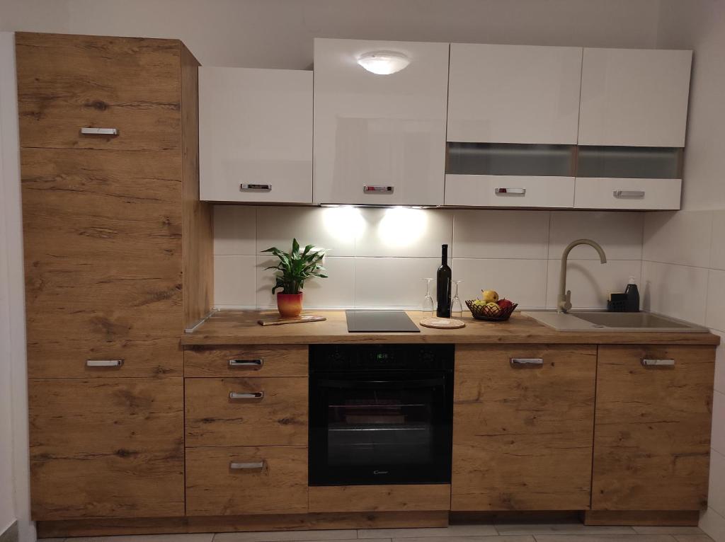 Kuchyňa alebo kuchynka v ubytovaní Apartment Stipčić-Mrežnički Brig