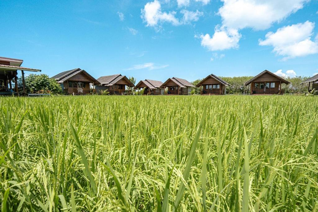 Fotografie z fotogalerie ubytování NammNatawn2 v destinaci Ko Yao Noi