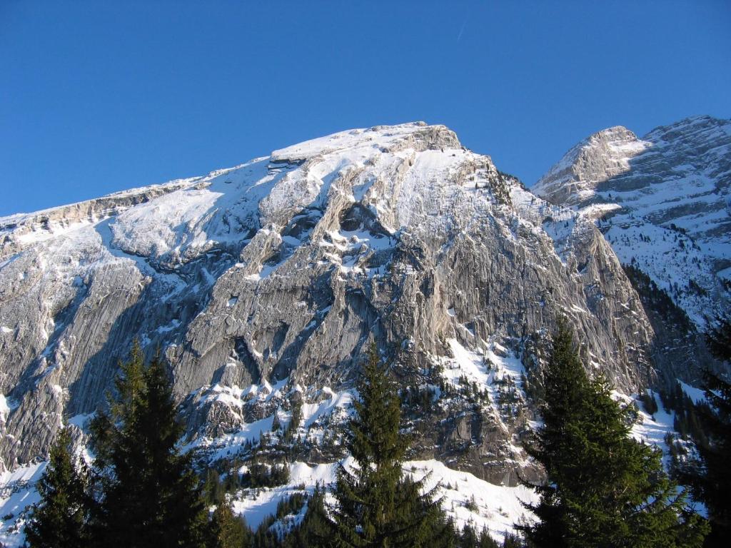 a snow covered mountain with trees in front of it at Altipik - Lodges Insolites in Mont-Saxonnex