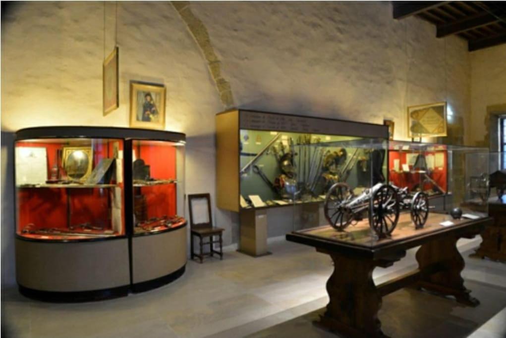 a room with two display tanks with different types ofartifacts at Bali Dream II Hyper Centre Fontaine Moussue in Salon-de-Provence