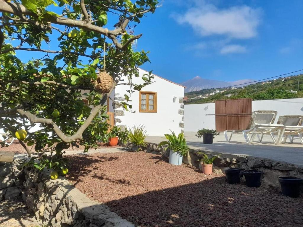 een uitzicht op een huis met een tuin met planten bij Las Casas del Bisa in Garachico