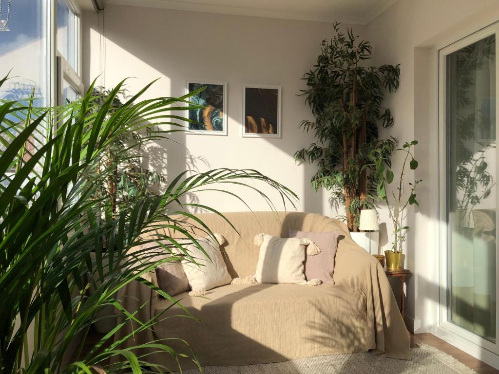 Apartamento Torres Vedras Centro في توريس فيدراس: غرفة معيشة فيها كرسي وبعض النباتات