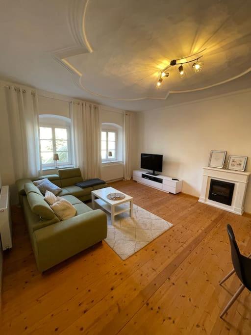a living room with a couch and a fireplace at Altstadt Apartment in Steyr