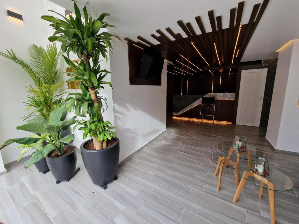 Fotografie z fotogalerie ubytování Hotel GALENO v destinaci Veracruz