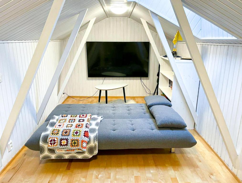Nordic lodge في روفانييمي: غرفة معيشة مع أريكة وتلفزيون بشاشة مسطحة