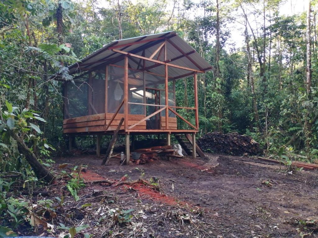 a tree house in the middle of a forest at Cabaña Leucopternis - in the middle of Amazon forest in Orito