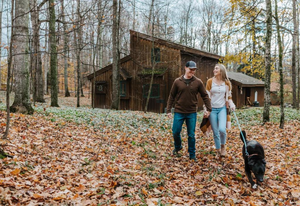 Finnwood A Pet Friendly Woodland Retreat, Suttons Bay (updated prices 2024)