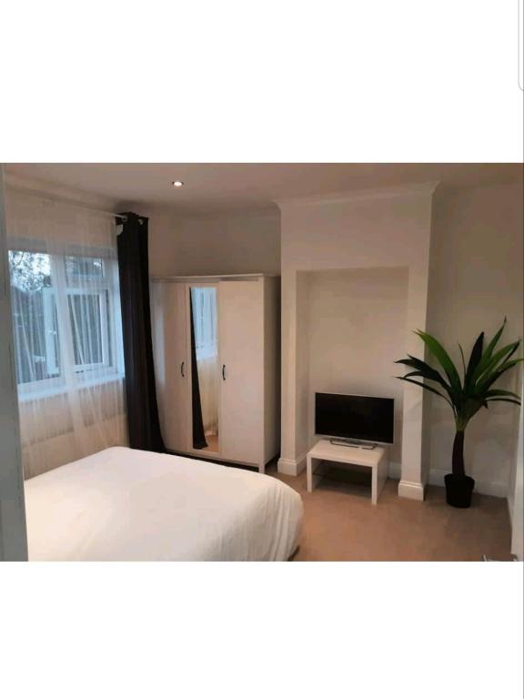 a bedroom with a bed and a tv and a potted plant at Mirandas Place in Gillingham