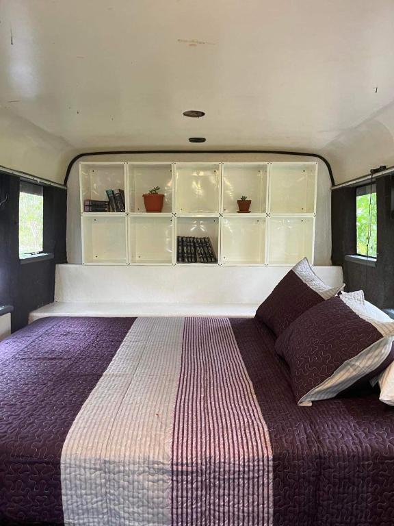 Bush Bus, Maungatapere (preços atualizados para 2026)