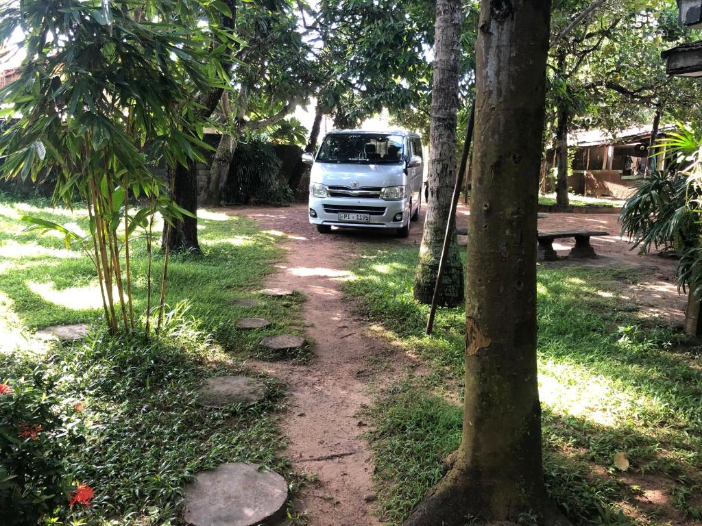 Zahrada ubytování Sylvester Villa Hostel Negombo