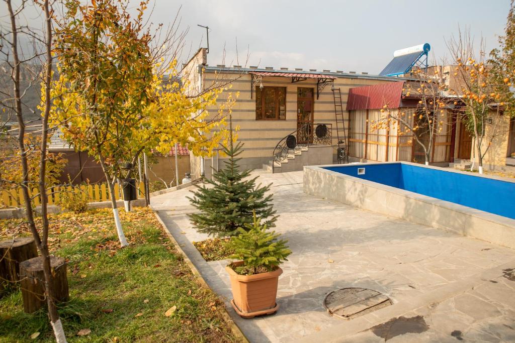 a house with a small christmas tree in a yard at Guest House LEADER in Ijevan