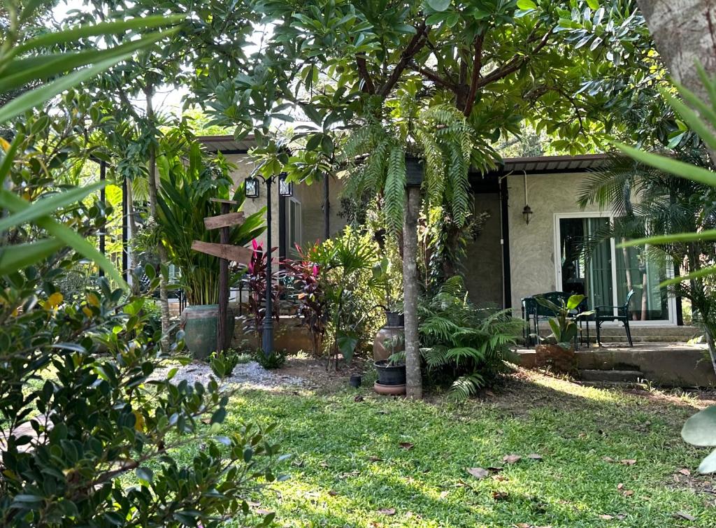 a garden with a house with a tree at WildHomeบ้านพัก ปากช่อง-เขาใหญ่ in Pak Chong