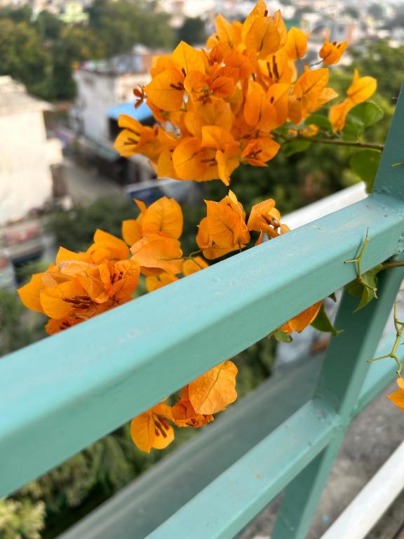 Balcone o terrazza di Max Guest House