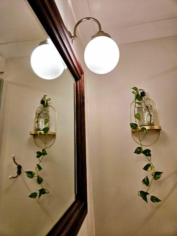 a mirror with two lights and a plant on the wall at The Gamekeepers Spa Cottage in Tamborine Mountain in Mount Tamborine