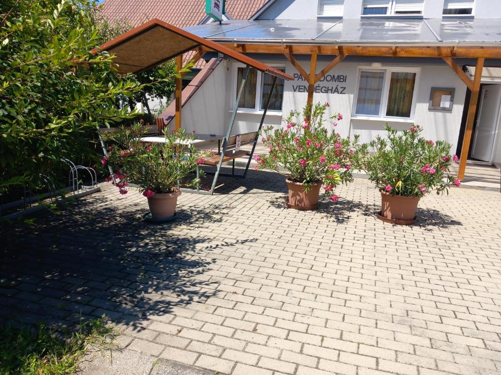 a patio with three potted plants in front of a house at Páterdombi Vendégház in Zalaegerszeg