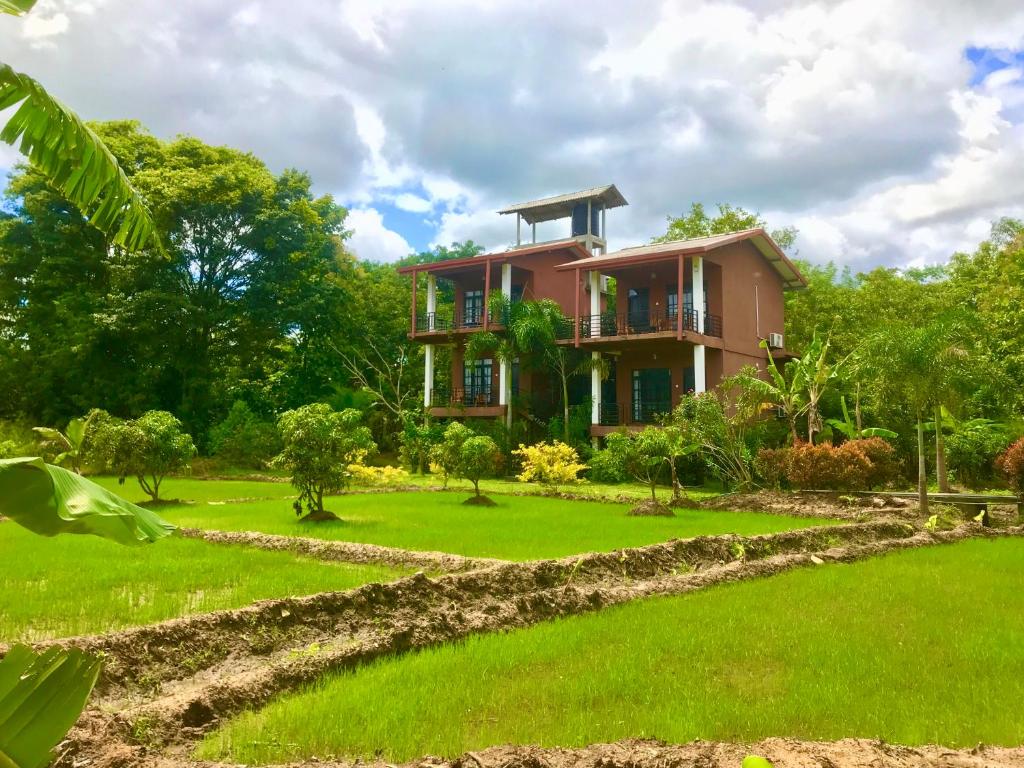 una casa en medio de un patio verde en Darshani Lodge, en Sigiriya