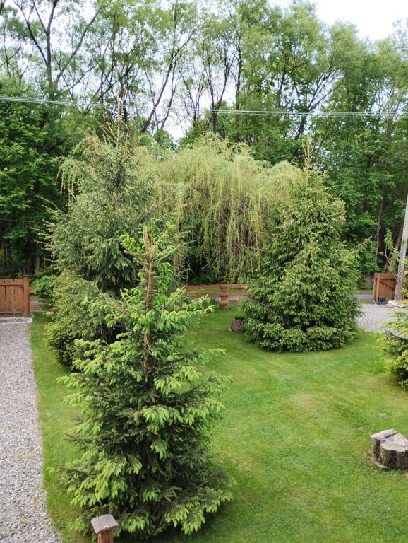 Zahrada ubytování Apartament Nad Potokiem