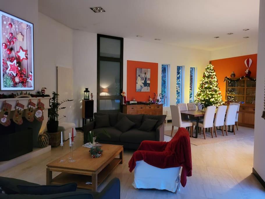 - un salon avec un canapé et un arbre de Noël dans l'établissement Villa 5 chambres sur la route des vins Bordelais, à La Brède