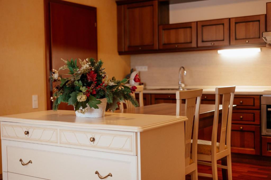 Kuchyň nebo kuchyňský kout v ubytování Residence Hotel