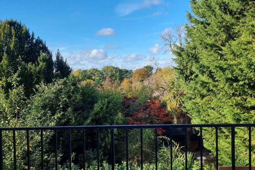 uma vista para uma floresta a partir de uma varanda em Entire Spacious 4 Bedroom Zen House with Garden View em Bromley